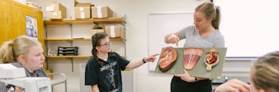 Students in a classroom, one pointing at a detailed anatomical model during a discussion.
