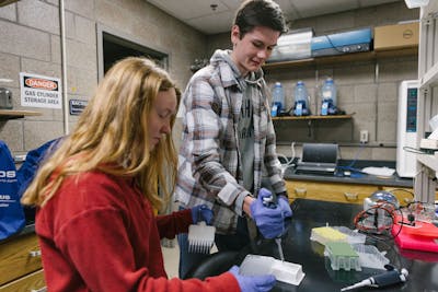 Students engaged in a detailed experiment in a lab setting.