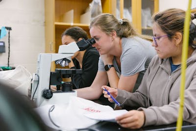 Students attentively watching a screen with scientific data.