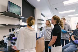 Students discussing and analyzing results in the lab.