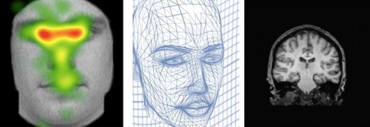 official banner image