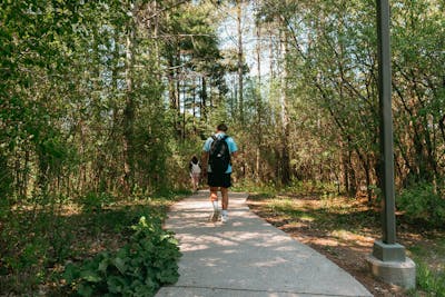 Students walk along a wooded campus trail on a sunny day.